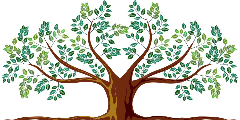 Arbol Tronco Ramas Tallos Hojas Raices Almas Grupos