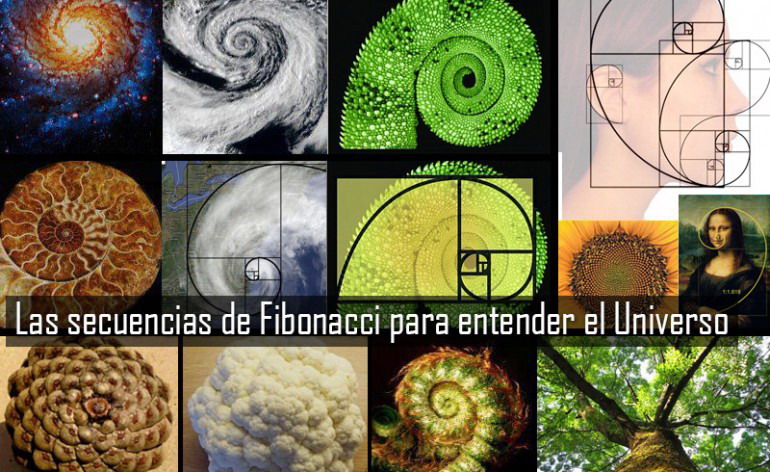 Fibonacci Secuencia Numerica Naturaleza Universo Vortices