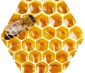Forma Hexagonal Naturaleza Hexagonos Panal Abejas Celdas Miel