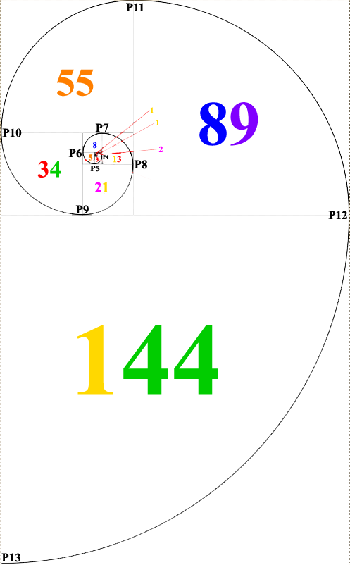 Vortice Secuencia Numerica Creacion Vida Sucesion Fibonacci